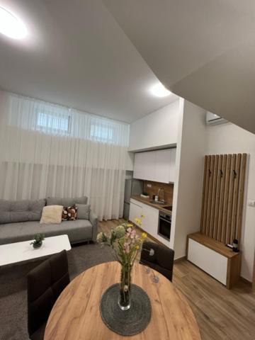 Centar Ns 5 Apartment Novi Sad Exterior photo